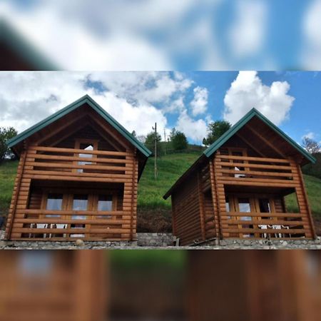 Eco Village Jasavic 普拉夫 外观 照片