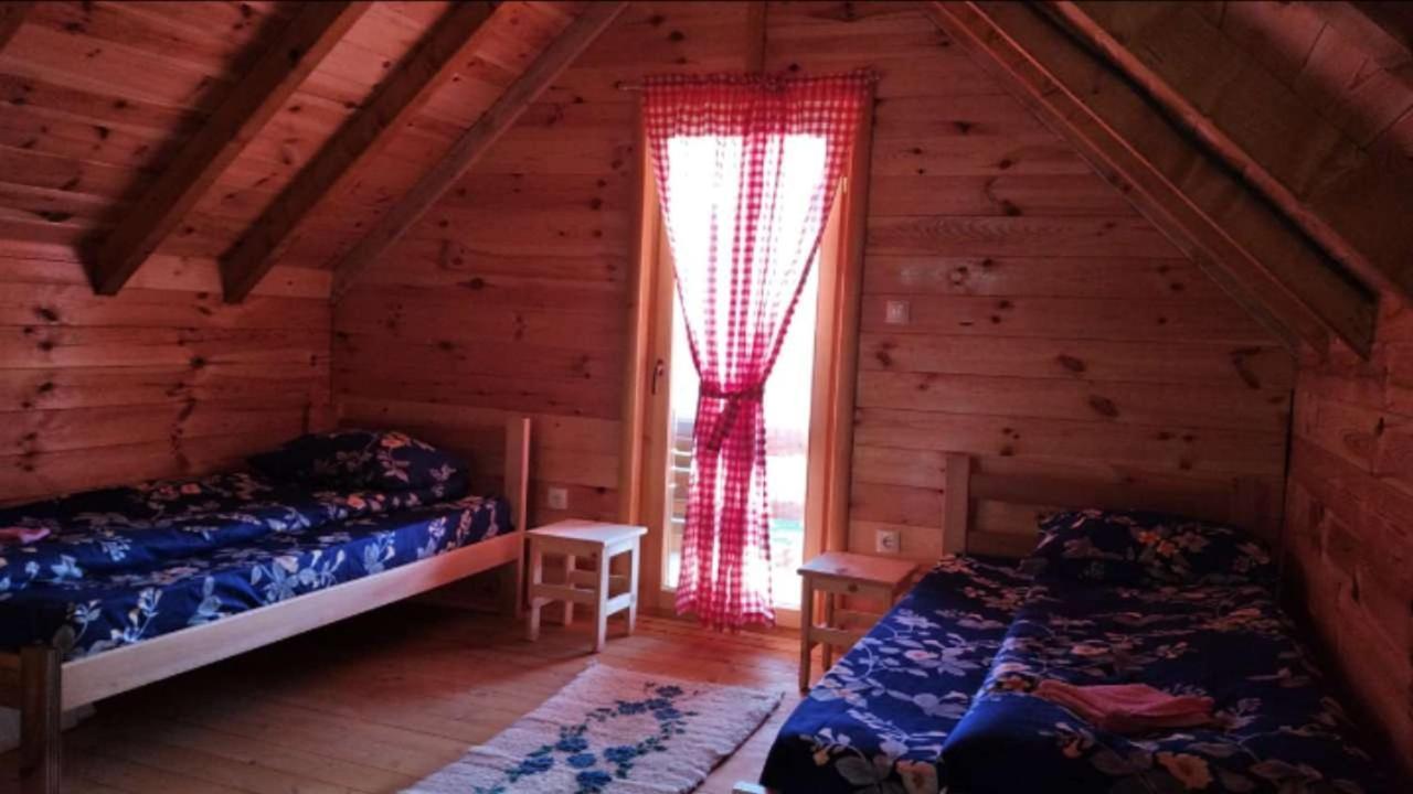 Eco Village Jasavic 普拉夫 外观 照片